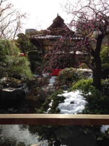 An oasis in the city